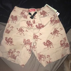Supreme shorts size 32 men’s
